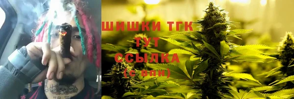 дурь Богданович