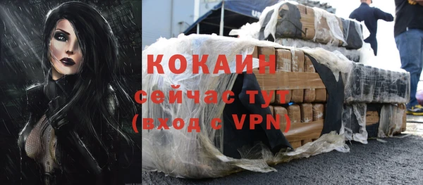 дурь Богданович