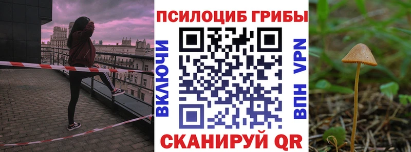 продажа наркотиков  Короча  Галлюциногенные грибы Magic Shrooms 